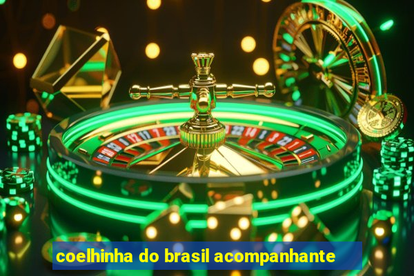 coelhinha do brasil acompanhante